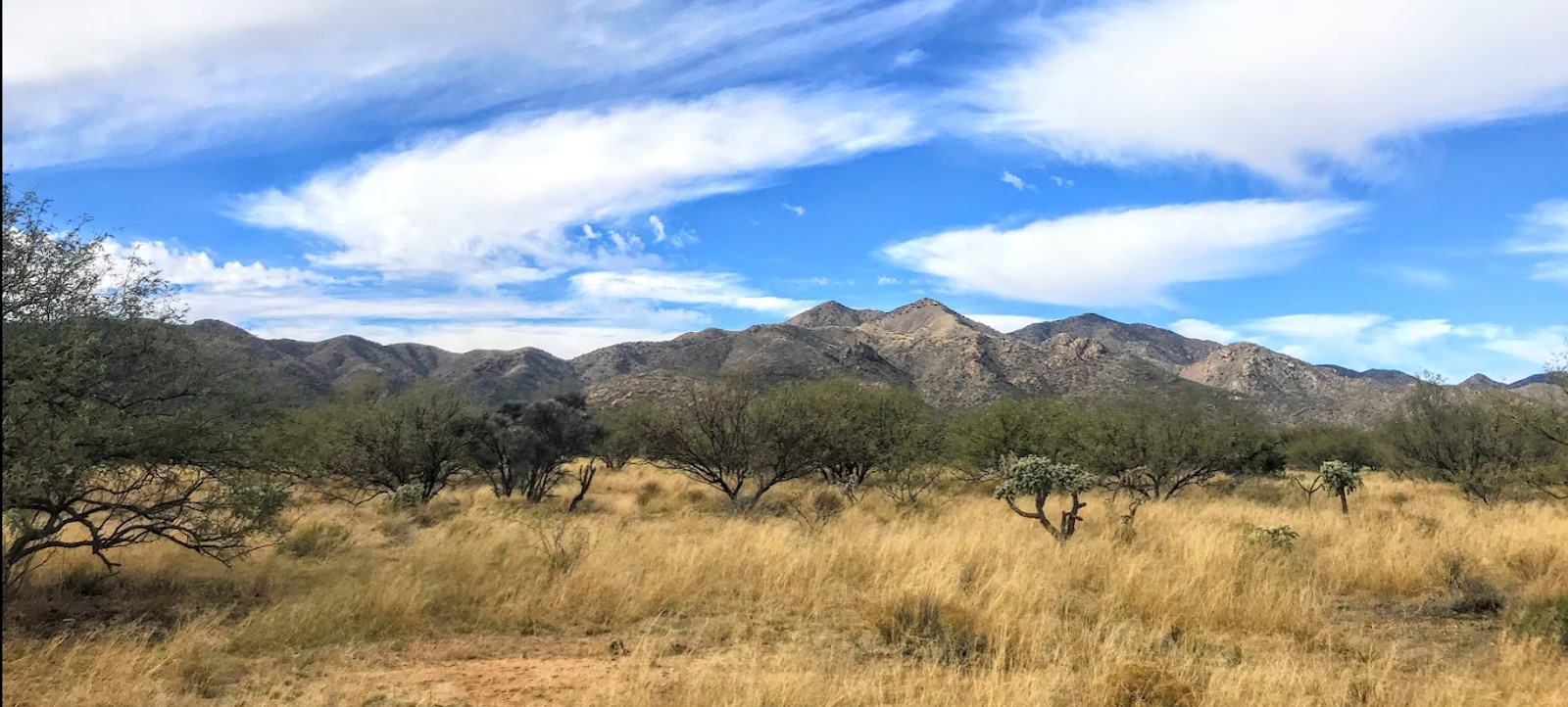 Altar Valley