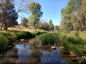 Flowing Springs River access