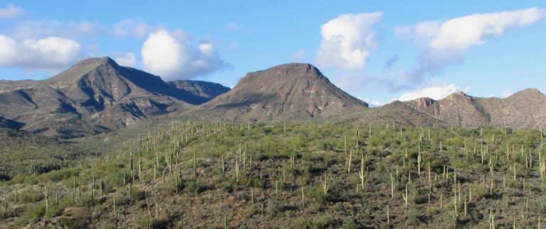 Spur Cross Ranch Conservation Area – Arizona Birding Trail