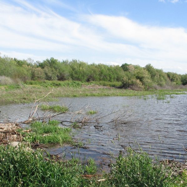 Photo:  Arizona Game & Fish