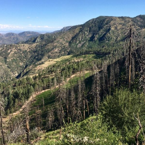 Photo:  Michael Jacobi