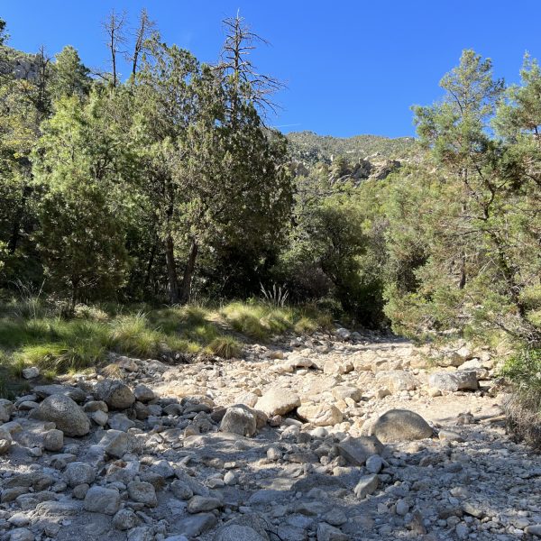 Photo:  Marcia Lambert