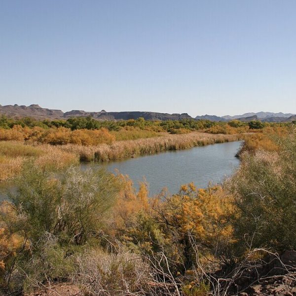 BillWilliamsRiverNWR2