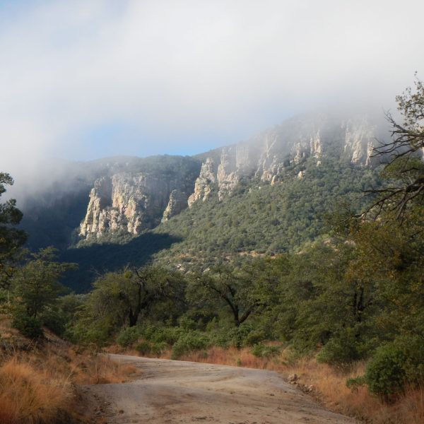 Photo:  Coronado National Forest