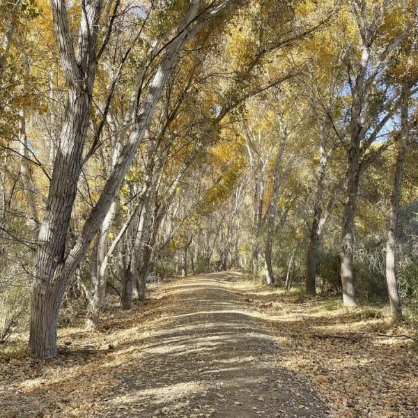 Photo: Brian C Johnson