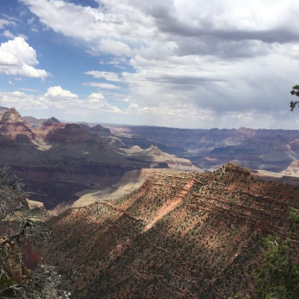 Photo:  Marcia Lambert