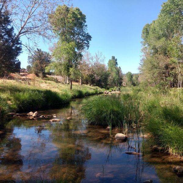 Flowing Springs River access