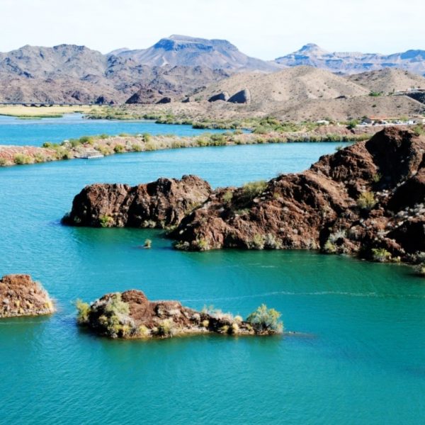 Photo:  Arizona Important Bird Areas Program