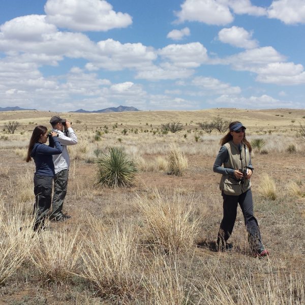 Birders in Las Cienegas NCA (Photo:  Jennie MacFarland)