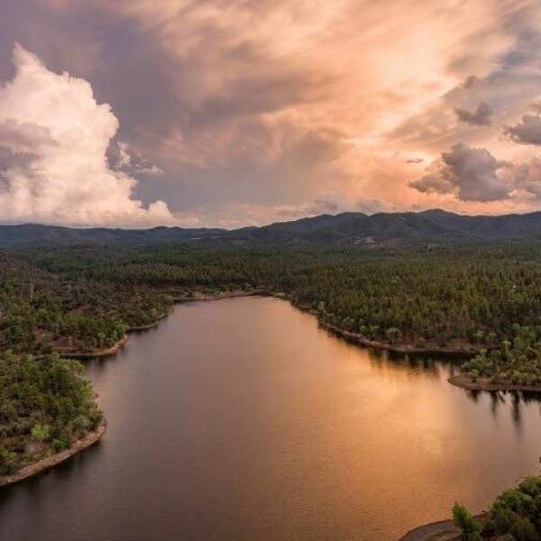 Photo:  Michael Wilson