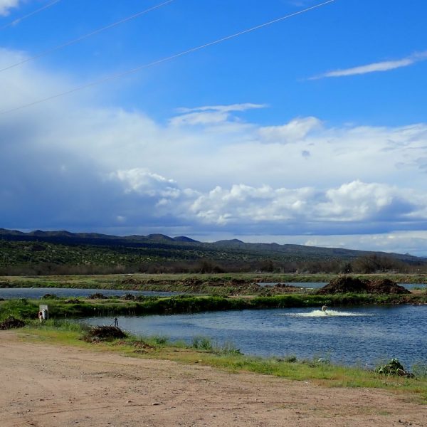 MammothPonds