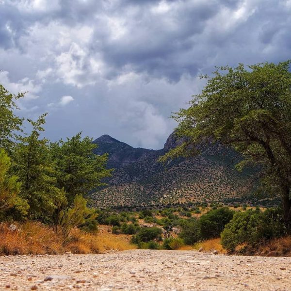 Photo:  Explore Cochise County