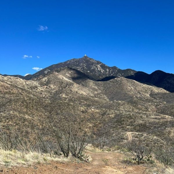 Montosa Canyon3_Lambert