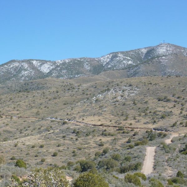 Photo:  birdinghotspots.org