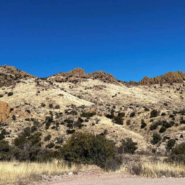 Photo:  Marcia Lambert