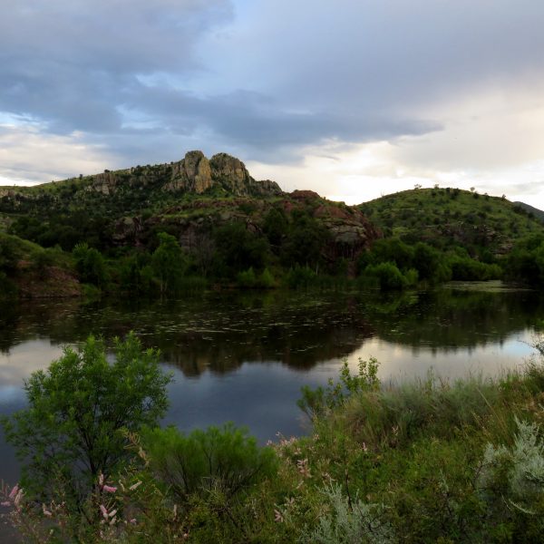 Photo:  Katja Schulz