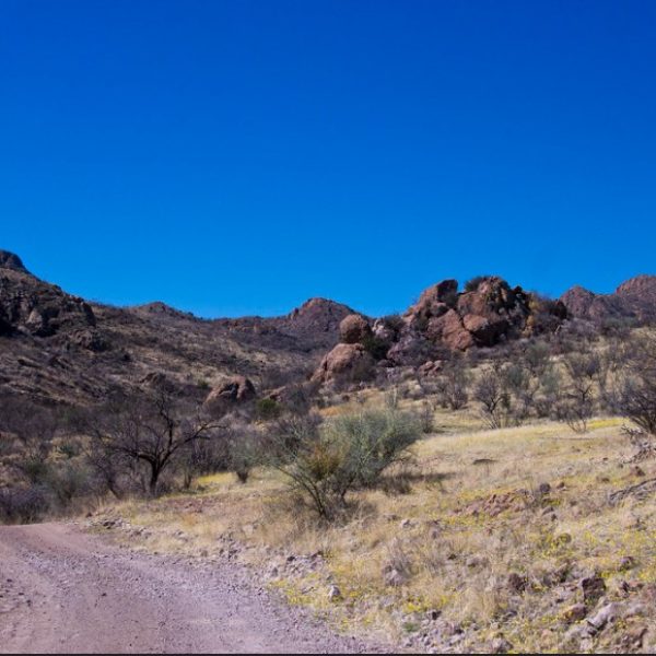 Photo Credit:  David Putnam