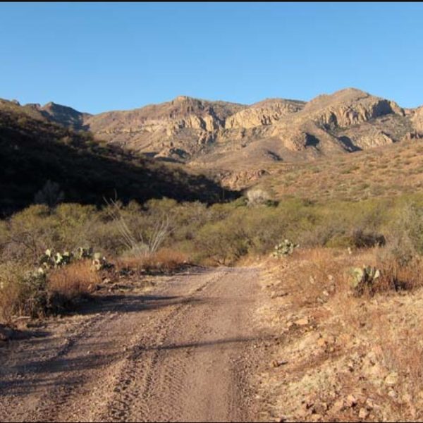 Rock Corral Canyon1_birdernaturalist