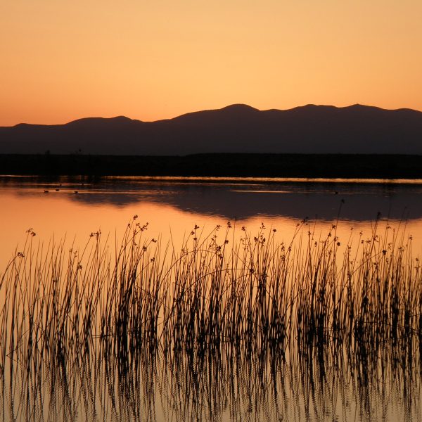 RoperLakeSP1_dmallen321