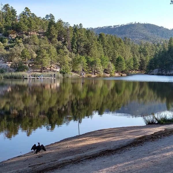 Photo:  Mark Stevenson