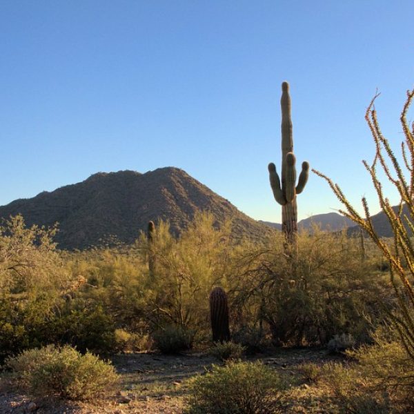 Photo: Teresa Alexander-Arab