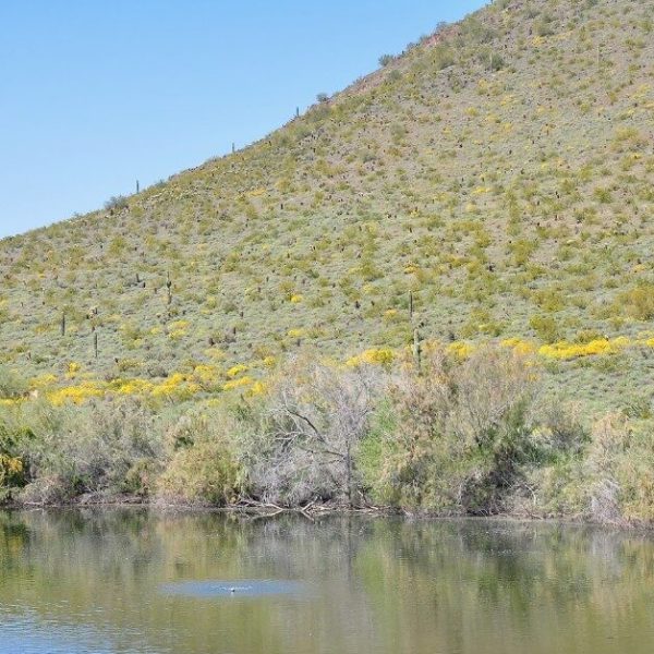 Photo: Linda & Dr. Dick Buscher
