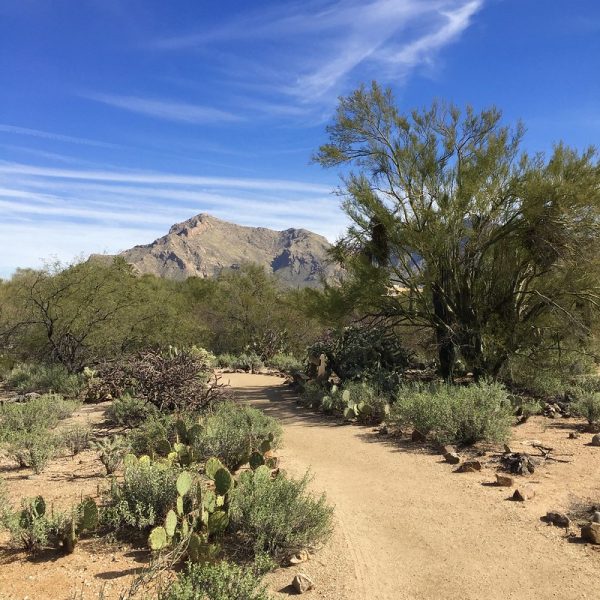 Photo:  Fluff Berger