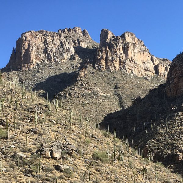 Bear Canyon to Seven Falls in Sabino Canyon Recreation Site (Photo: Scott Hutchings)